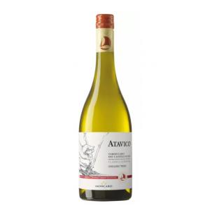Moncaro Atavico Verdicchio dei Castelli di Jesi White Wine - 13% 75cl
