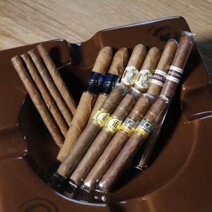 The Brisk Bunch Selection Sampler - 14 Cigars
