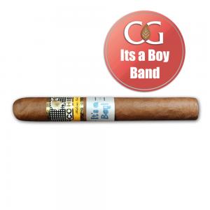 Cohiba Siglo II Cigar - 1 Single (Its a Boy Band)