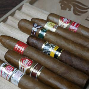 Cuban Cigars
