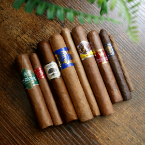 A Sampler for All - 9 Cigars