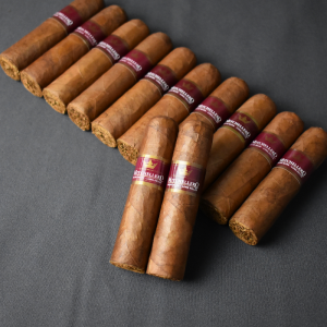 FLASH SALE - Humidor Top Up - Mitchellero Novellini Cigar Sampler - 12 Cigars