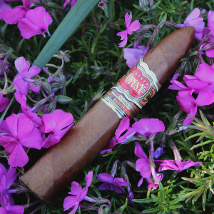 Arturo Fuente - Featured Brand