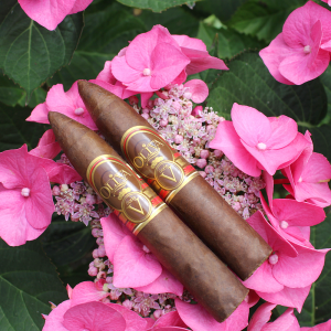 Oliva - Featured Brand