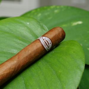 Rafael Gonzalez 