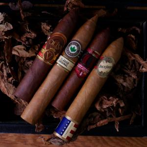Straight To The Point Sampler - 4 Cigars