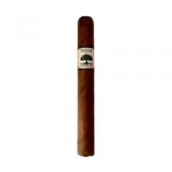 Foundation Charter Oak Original Petit Corona Cigar - 1 Single