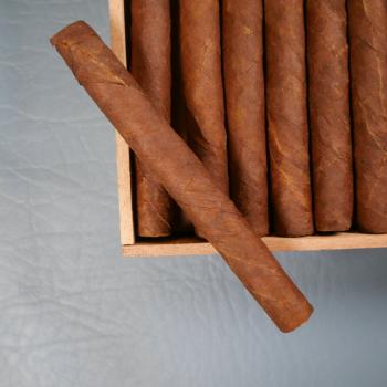 Dutch Blend Senoritas Brazil Cigar - 1 Single