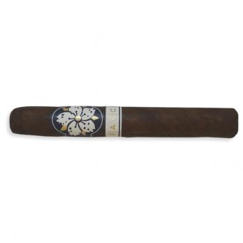 BLACK FRIDAY - Room 101 Farce Maduro Robusto Cigar - 1 Single (End of Line)