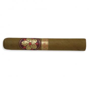 Room 101 Farce Connecticut Robusto Cigar - 1 Single (End of Line)