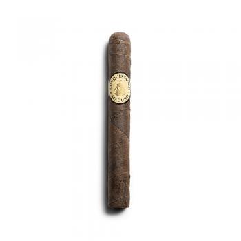 Conquistador Petit Corona Maduro Cigar - 1 Single