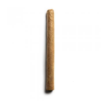 Conquistador Panatella Cigar - 1 Single