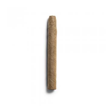 De Olifant Senoritas - VOC XO Cigar - 1 Single