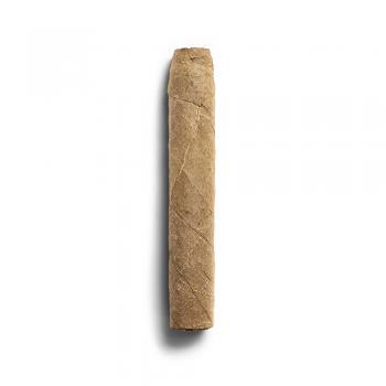 De Olifant Robusto Valentino Cigar - 1 Single