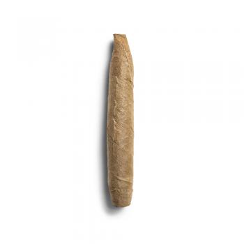 De Olifant - Tuit Senoritas - Knakje XO Cigar - 1 Single