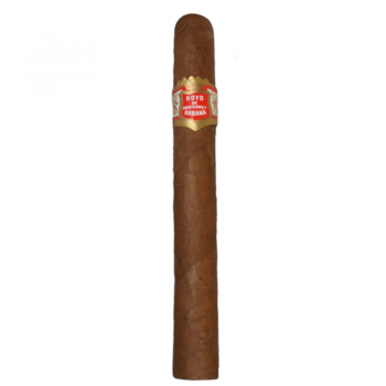 Hoyo de Monterrey Le Hoyo Du Roi Cigar - 1 Single