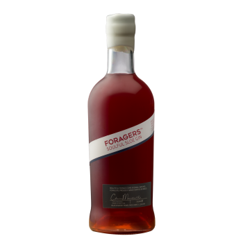 Snowdonia Foragers Soulful Sloe Gin - 30% 70cl