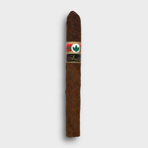 Joya de Nicaragua Antano 1970 Coronet Cigar - 1 Single