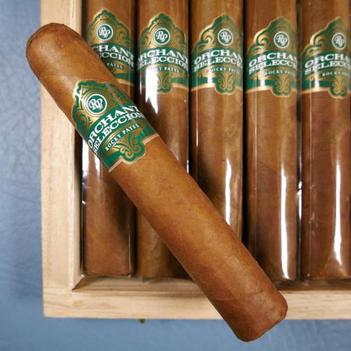 Rocky Patel Orchant Seleccion Rothschild Cigar - 1 Single