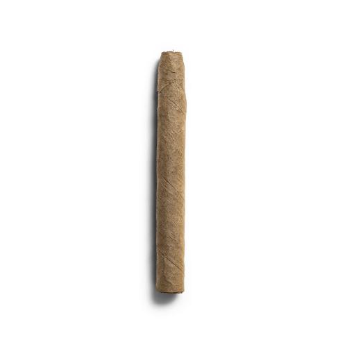 De Olifant Senoritas - VOC XO Cigar - 1 Single