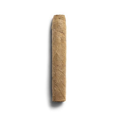 De Olifant Robusto Valentino Cigar - 1 Single