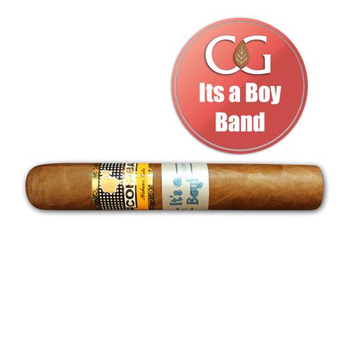 Cohiba Robustos Cigar - 1 Single (Its a Boy Band)