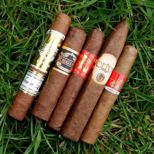 A Summers Dog Walk Sampler - Leisure - 5 Cigars