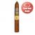 Montecristo Open Regata Cigar - 1 Single (Best Dad Band)