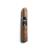 CLE Asylum 13 Short Corona Cigar - 1 Single