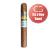Cohiba Siglo II Cigar - 1 Single (Its a Boy Band)