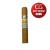 Cohiba Robustos Cigar - 1 Single (Happy Birthday Band)