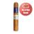 Inka Secret Blend Blue Robusto Cigar - 1 Single (Its a Boy Band)