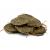Peterson Deluxe Navy Rolls Pipe Tobacco - 10g Sample