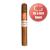 Partagas Petit Coronas Especiales Cigar - 1 Single (Its a Girl Band)