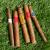 Summer BBQ Sampler - Short Smoke - 5 Cigars