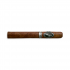 Davidoff Escurio Corona Gorda Cello Cigar - 1 Single