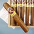 Aladino Corojo Petit Corona Cigar - 1 Single