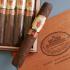 Bossner Rolando Robusto Cigar - 1 Single