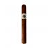 Foundation Charter Oak Original Petite Corona Cigar - 1 Single