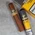 Cohiba Robustos Tubed Cigar - 1 Single