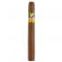 Cohiba Siglo III Cigar - 1 Single