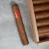 Partagas Serie D No. 4 Cigar - 1 Single