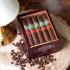 Rocky Patel Tabaquero Hamlet Paredes Robusto Cigar - Box of 20