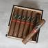 Davidoff Yamasa Robusto Cigar - Box of 12