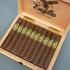 Eagle by Rocky Patel Toro Cigar - Box of 20