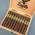 Eagle by Rocky Patel Torpedo Cigar - Box of 20