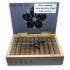 Room 101 Farce Original Robusto Cigar - Box of 20