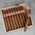 LCDH Hoyo de Monterrey Elegantes Cigar - Box of 10