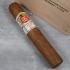 Hoyo de Monterrey Epicure No. 2 Cigar - 1 Single