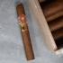 LCDH H. Upmann Connoisseur B Cigar - 1 Single